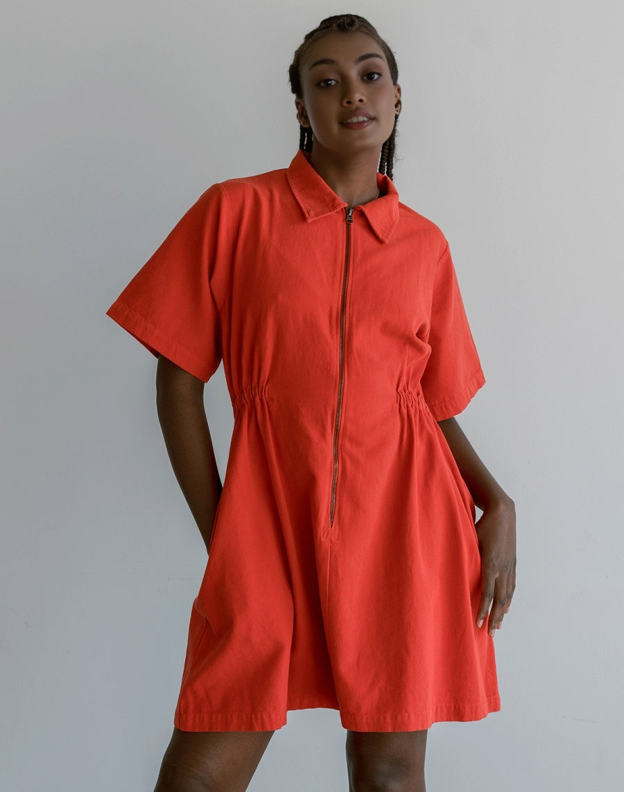 Dress with Sleeves