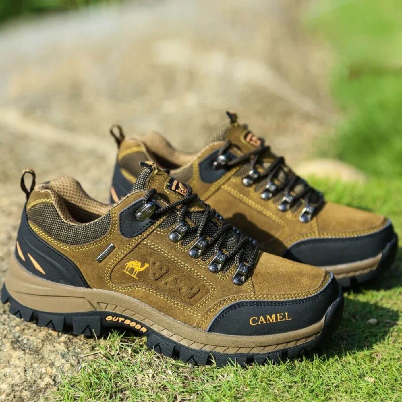 Pioneer - Ultimate Comfort for Every Adventure