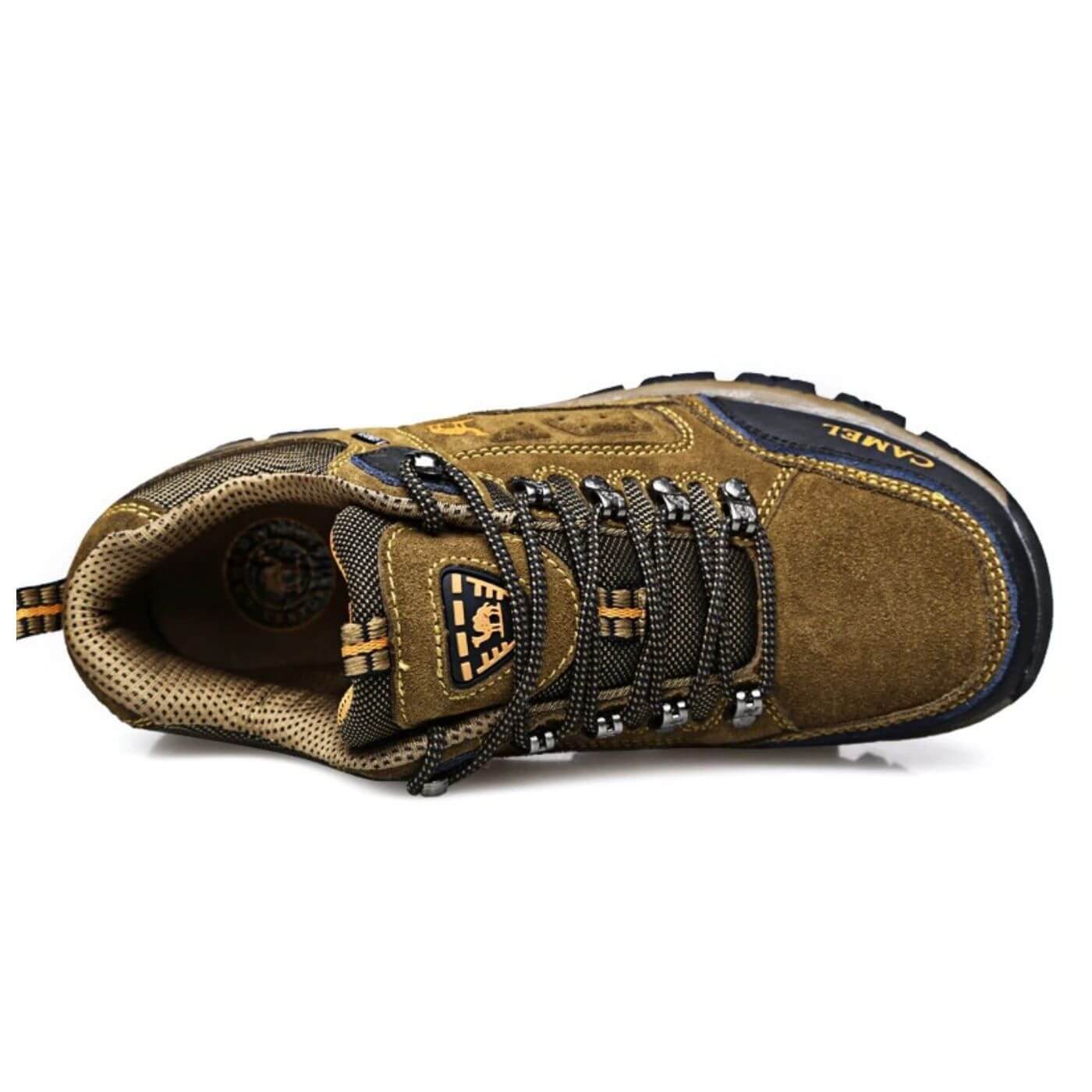 Pioneer - Ultimate Comfort for Every Adventure
