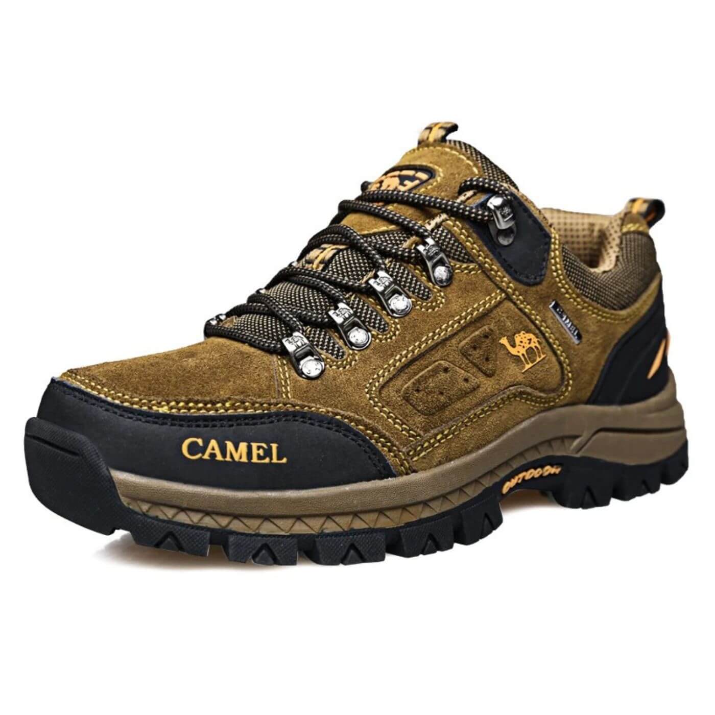 Pioneer - Ultimate Comfort for Every Adventure