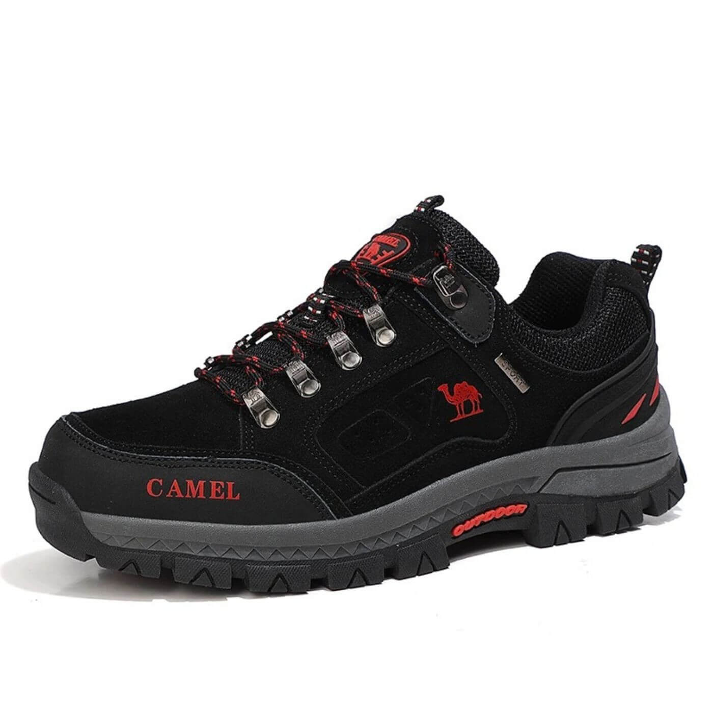 Pioneer - Ultimate Comfort for Every Adventure