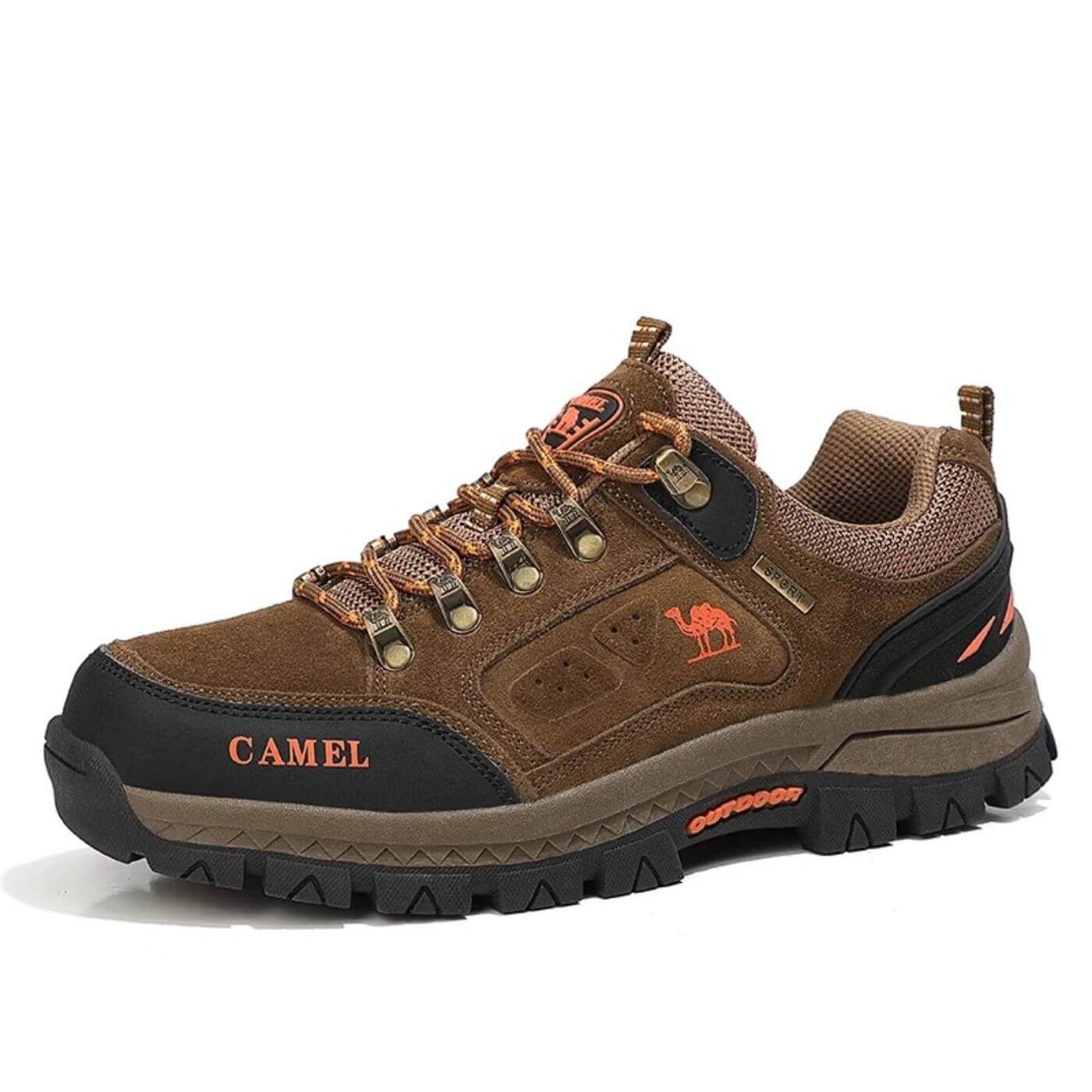 Pioneer - Ultimate Comfort for Every Adventure
