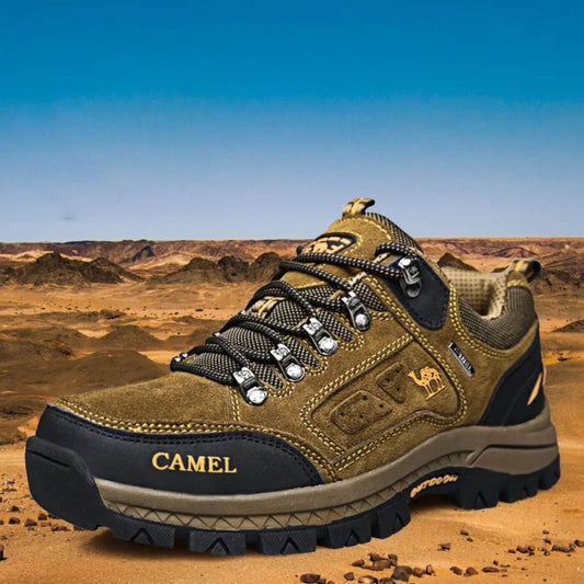 Pioneer - Ultimate Comfort for Every Adventure