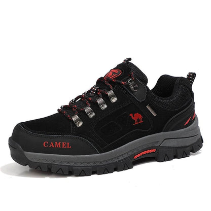 Pioneer - Ultimate Comfort for Every Adventure